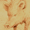 Wildschwein